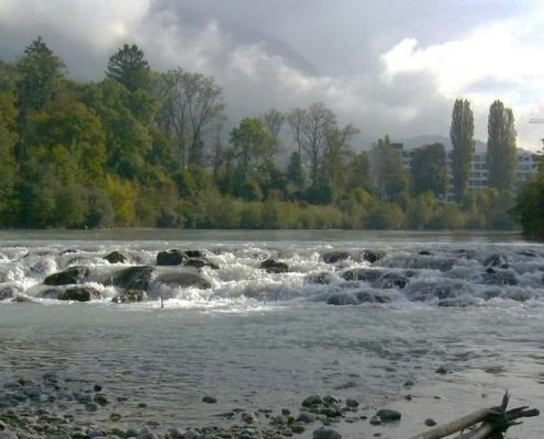 Arve