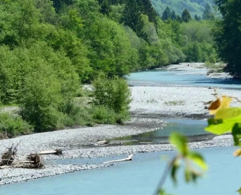 Arve2