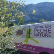 Véhicule animation