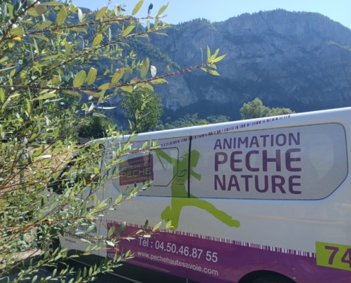 Véhicule animation